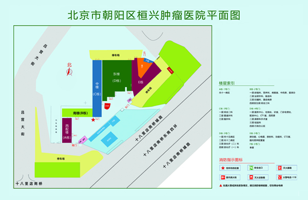 男人鸡捅爽女人鸡视频网站北京市朝阳区桓兴肿瘤医院平面图